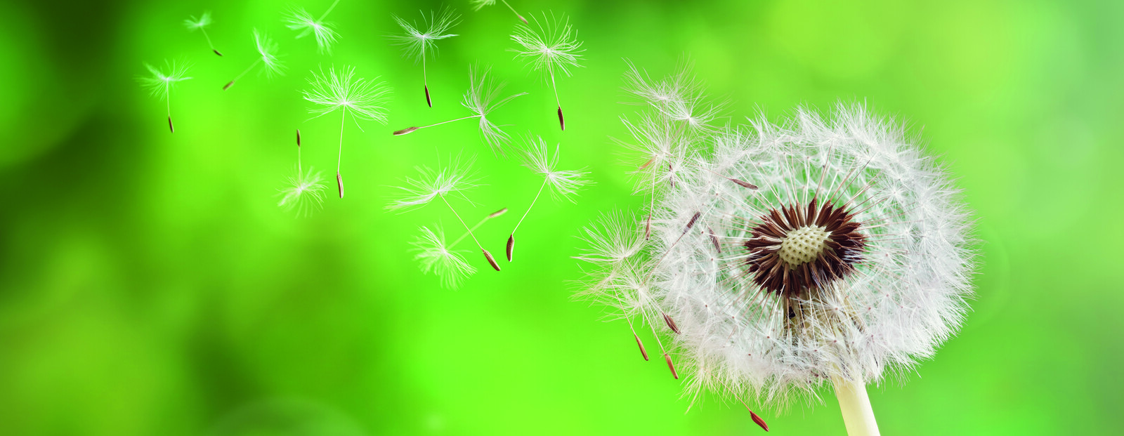 Zentrale Wohnraumlüftung